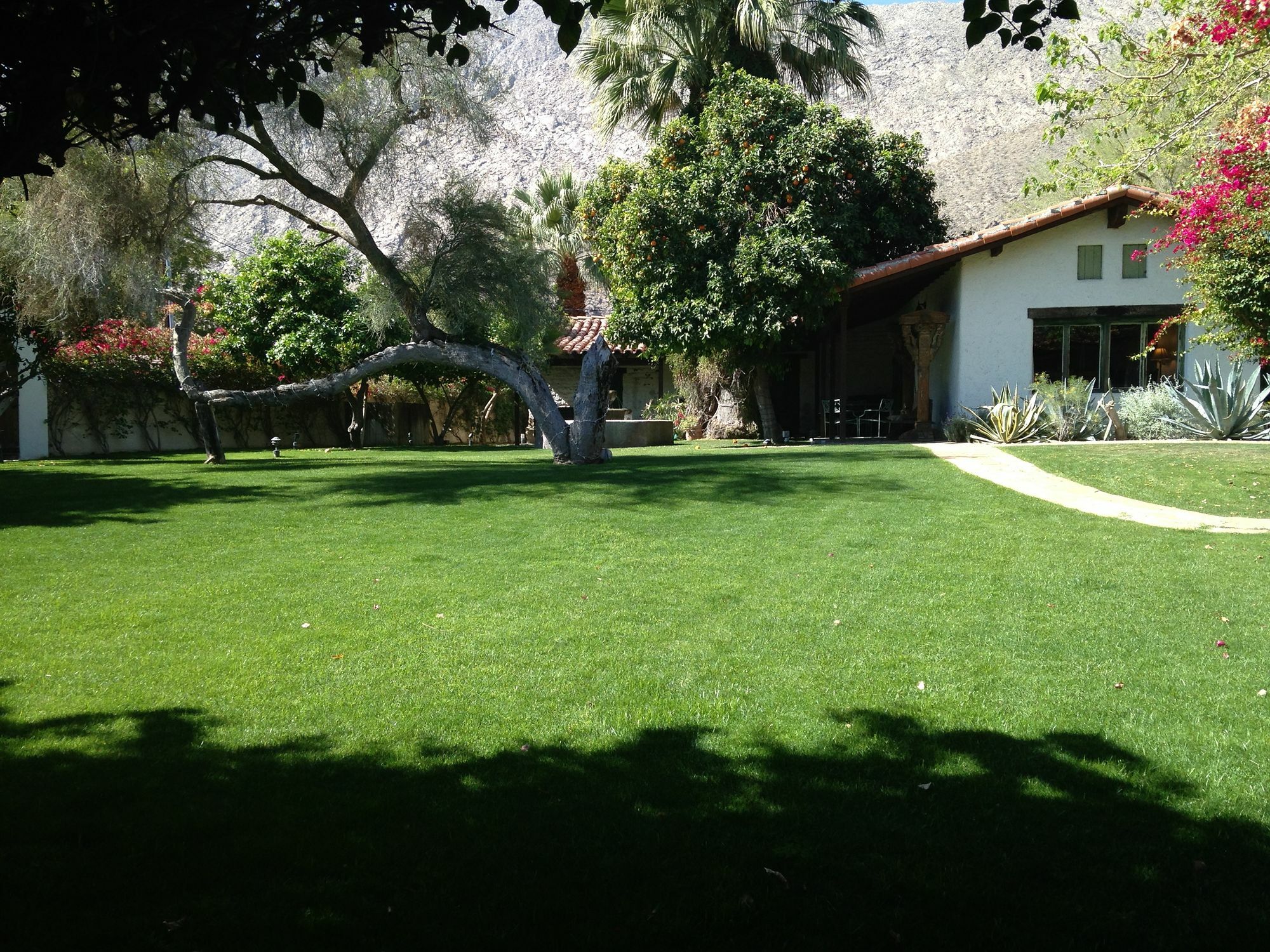 Hotel Casa Cody Palm Springs Exterior foto